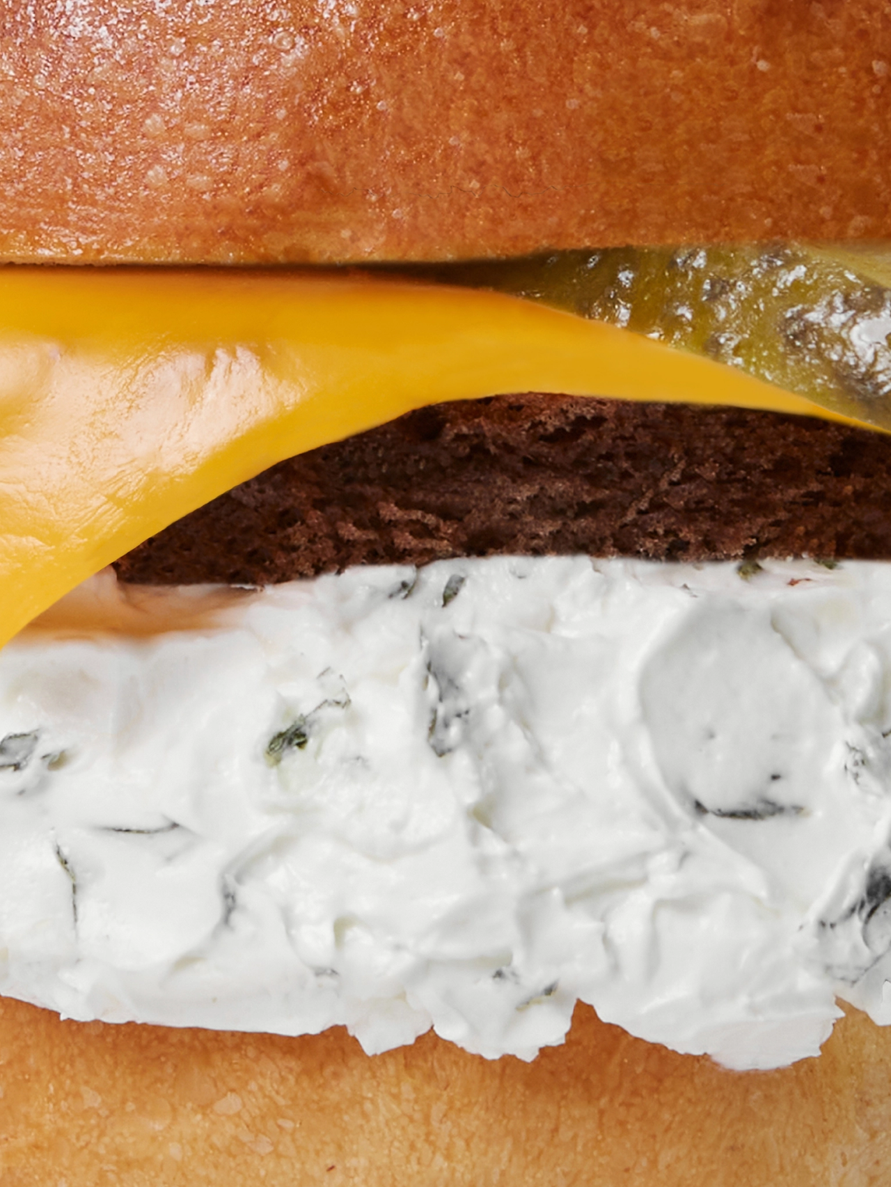 archive-onionpickleburgercake-name
