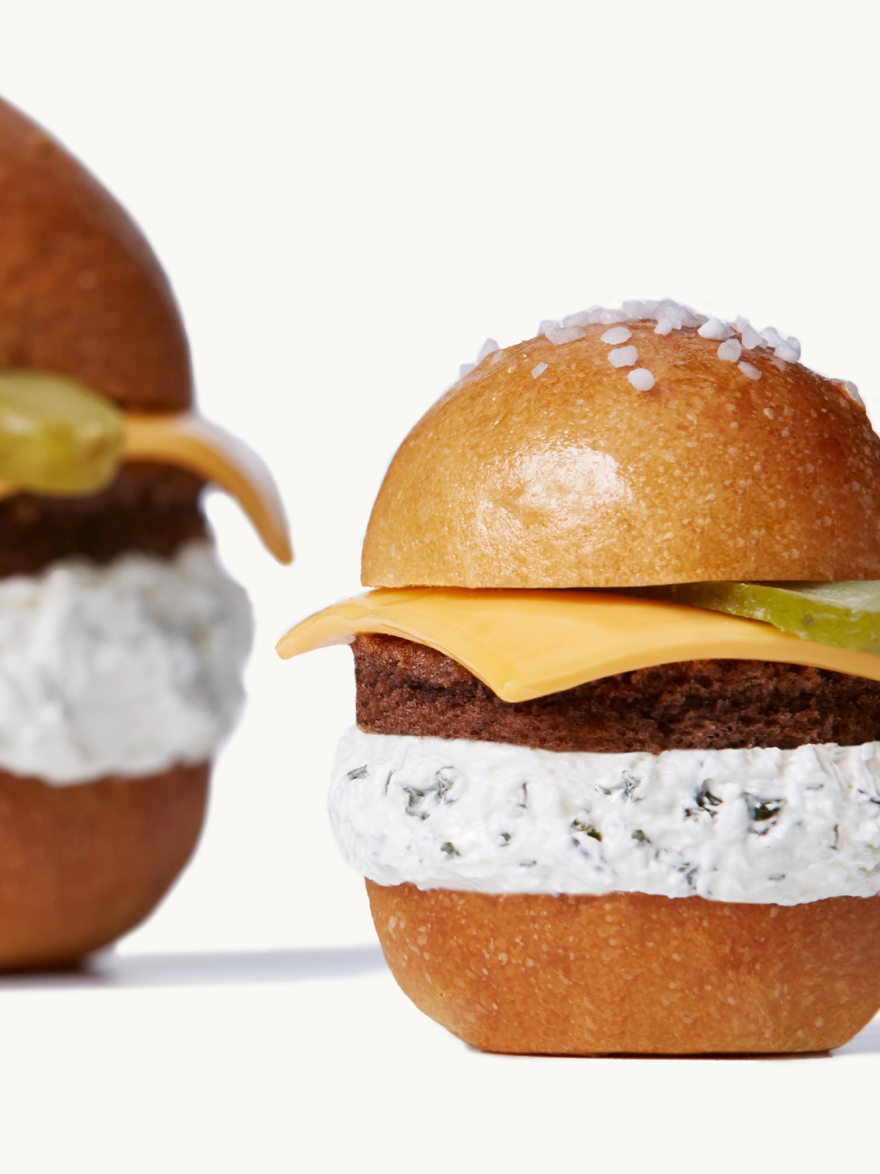 archive-microonionpickleburgercake-name