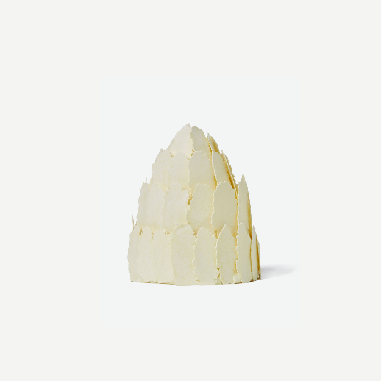 archive-pinecone-name