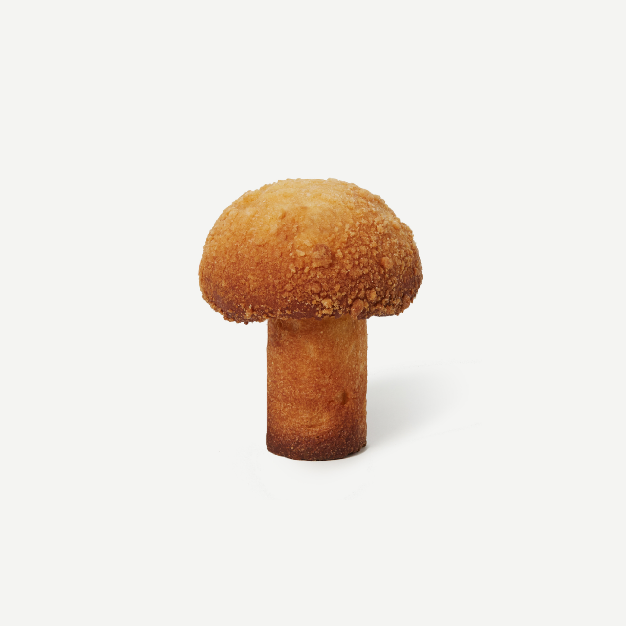 archive-mushroomchoux-name
