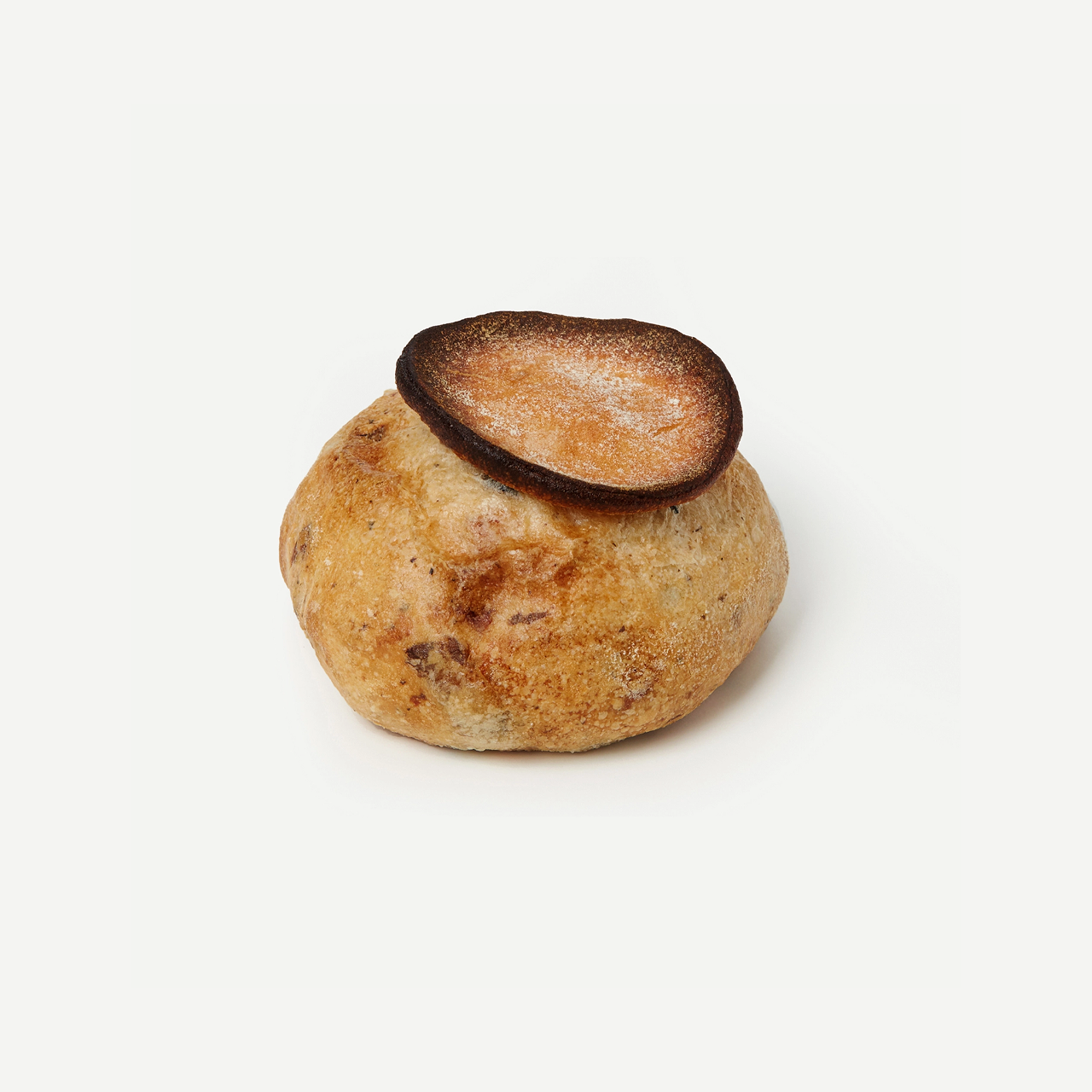 archive-nuchampignon-name