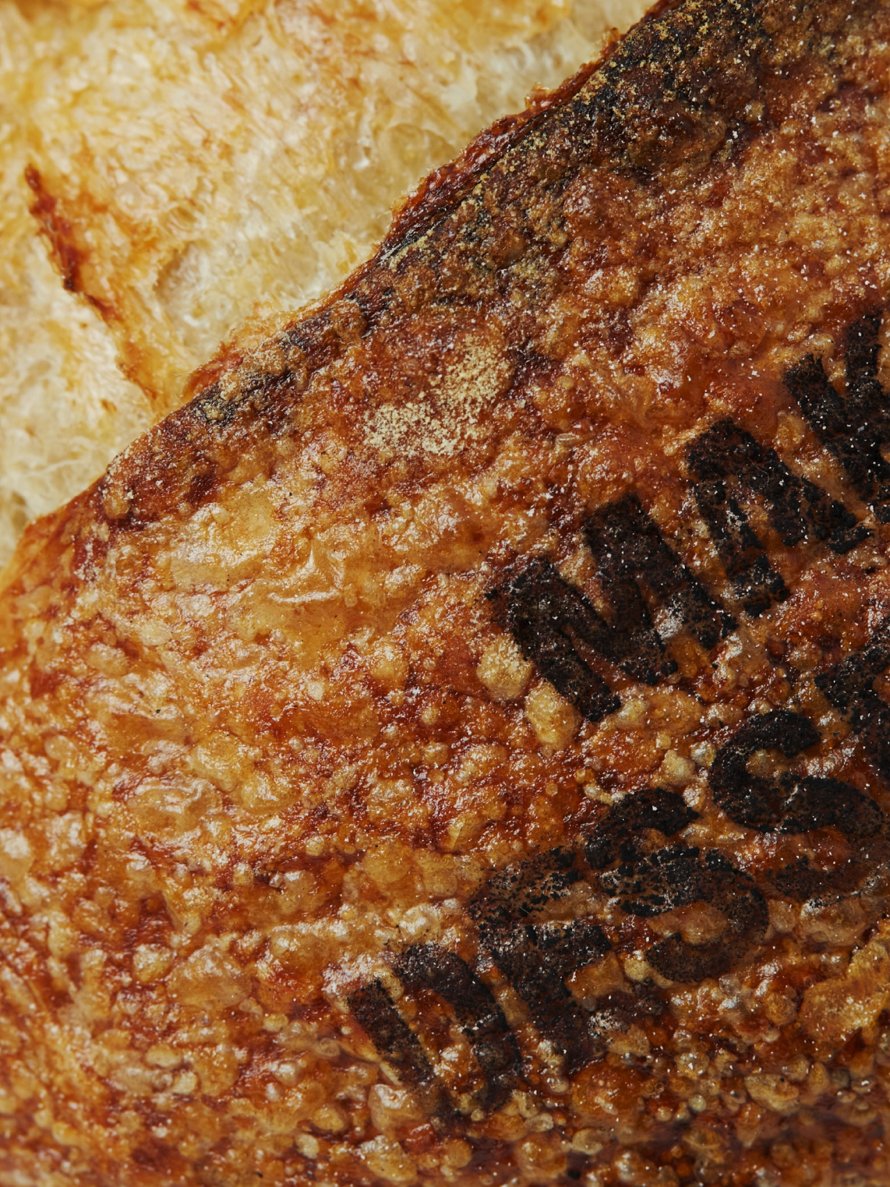 archive-plainsourdough-name