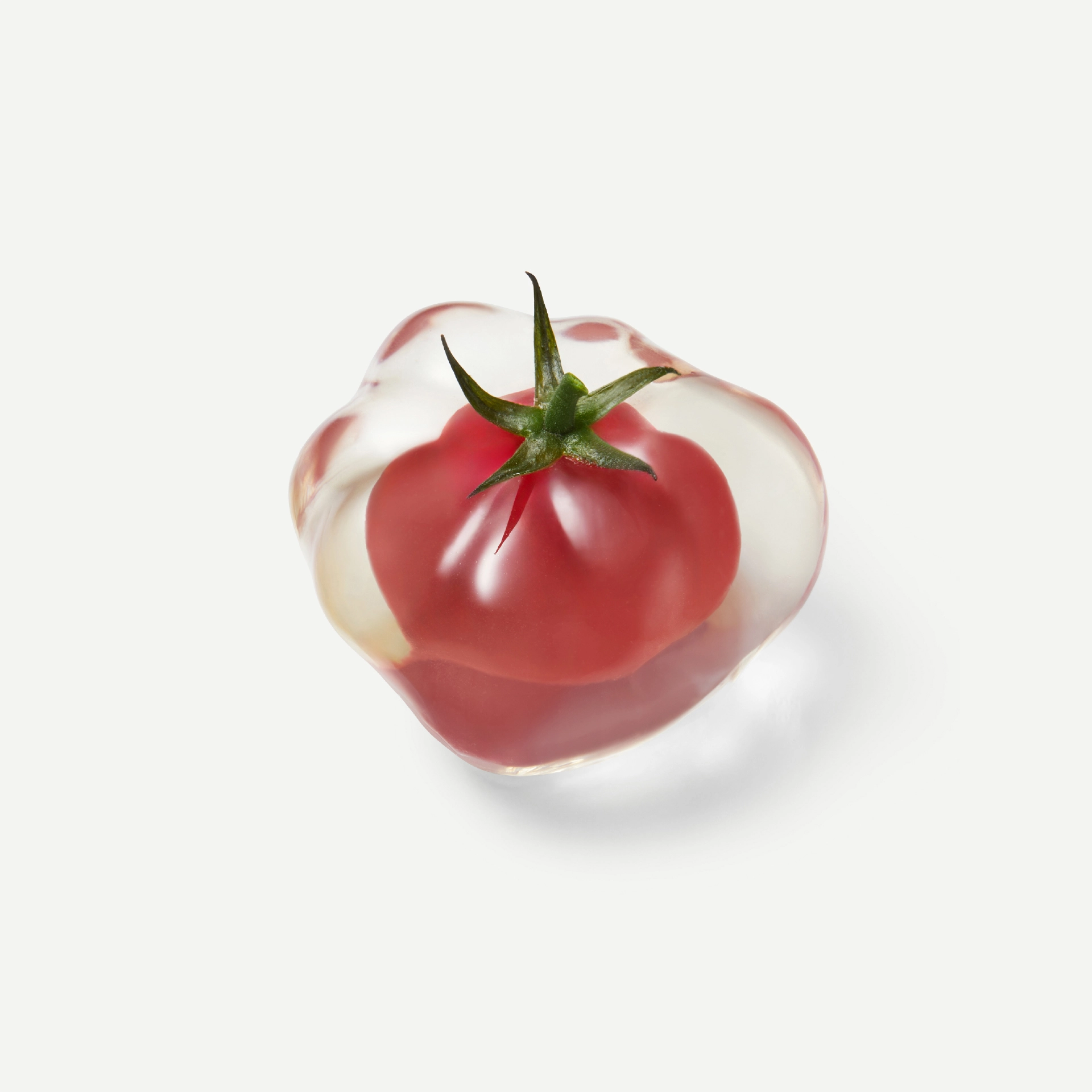 토마토