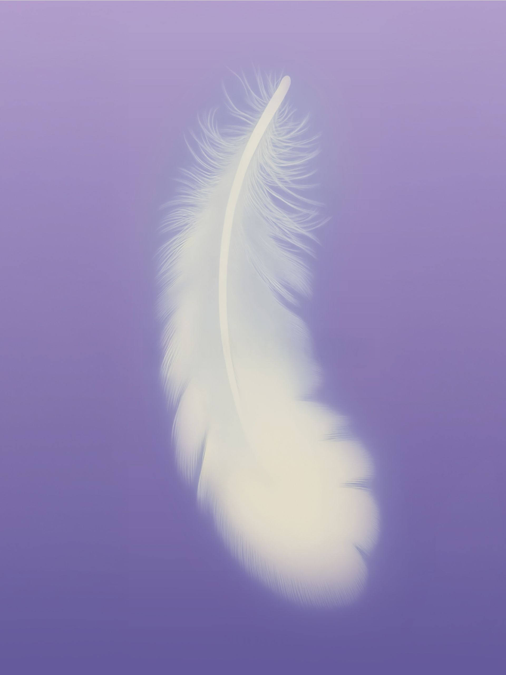 캐모 필로우