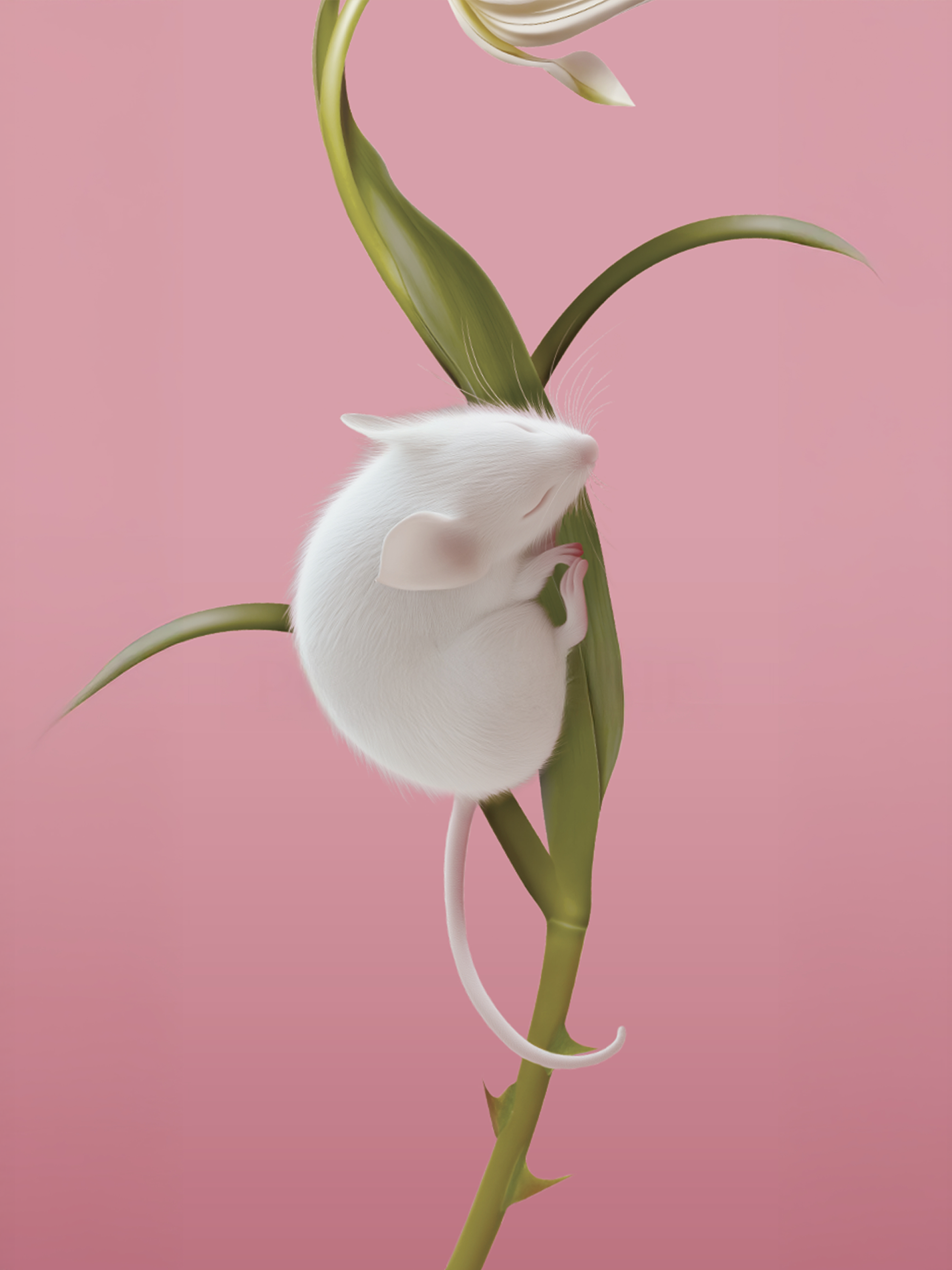 피치 로지